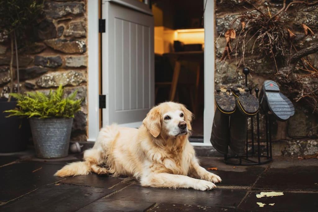 River Cottage, A Luxurious And Cosy Riverside Cottage For Two ウェルシュプール エクステリア 写真